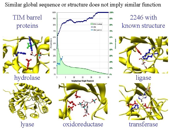 Similar global sequence or structure does not imply similar function TIM barrel proteins 2246