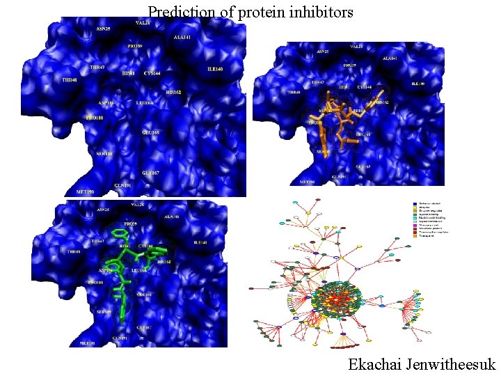 Prediction of protein inhibitors Ekachai Jenwitheesuk 