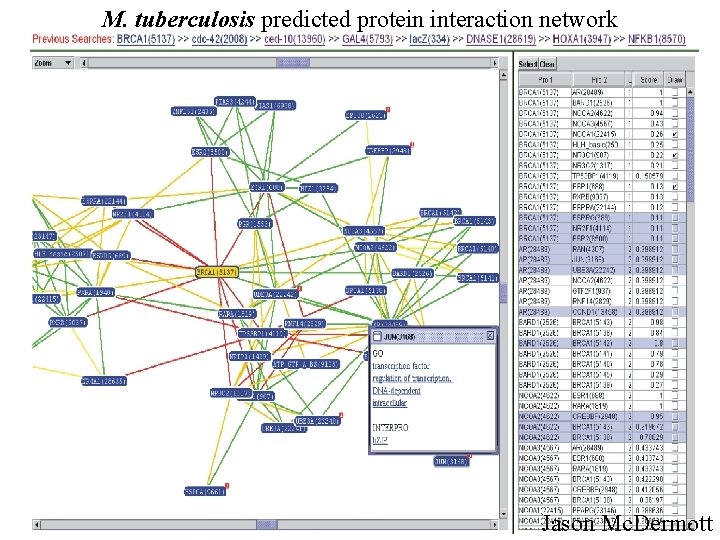 M. tuberculosis predicted protein interaction network Jason Mc. Dermott 