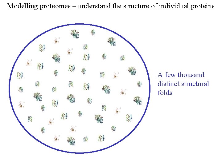 Modelling proteomes – understand the structure of individual proteins A few thousand distinct structural