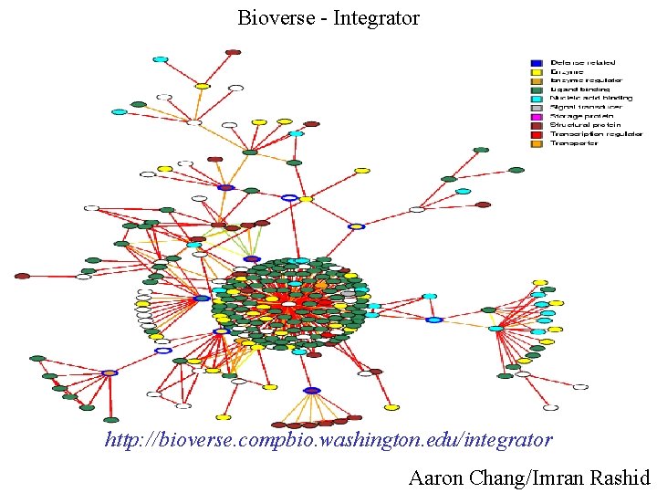 Bioverse - Integrator http: //bioverse. compbio. washington. edu/integrator Aaron Chang/Imran Rashid 