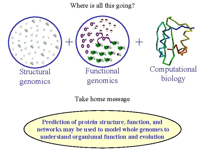 Where is all this going? + Structural genomics + Functional genomics Computational biology Take