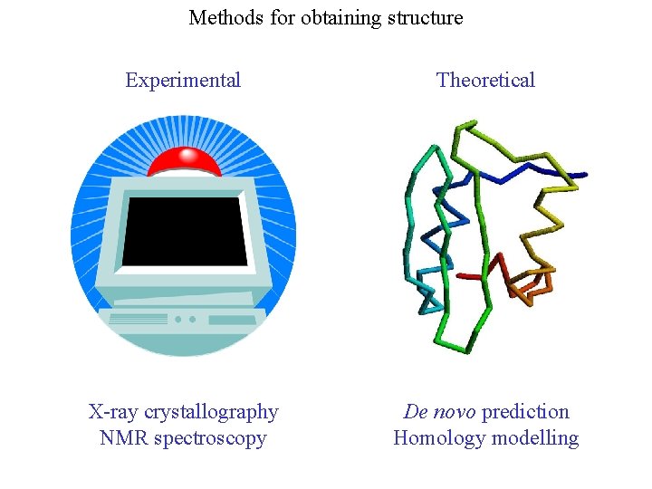 Methods for obtaining structure Experimental Theoretical X-ray crystallography NMR spectroscopy De novo prediction Homology