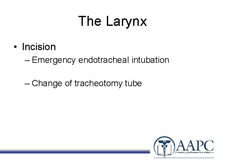 The Larynx • Incision – Emergency endotracheal intubation – Change of tracheotomy tube 