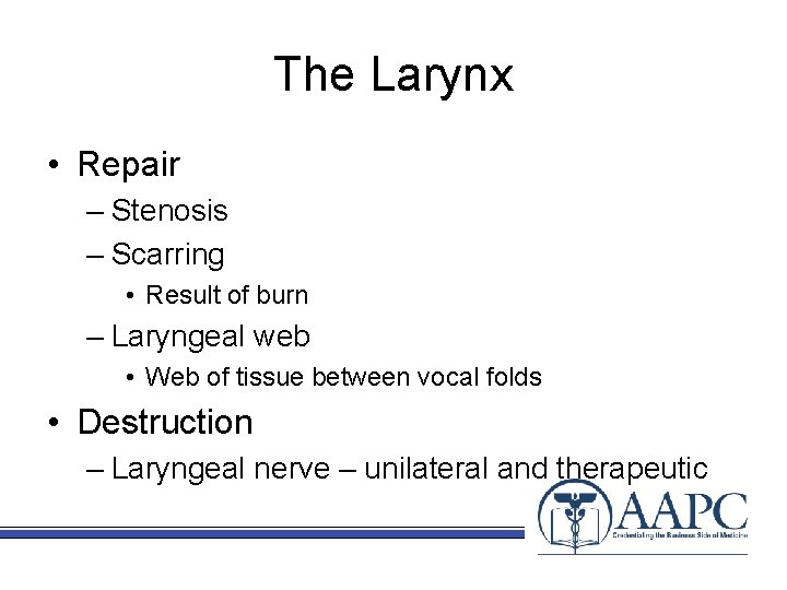 The Larynx • Repair – Stenosis – Scarring • Result of burn – Laryngeal