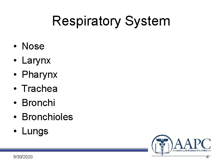 Respiratory System • • Nose Larynx Pharynx Trachea Bronchioles Lungs 9/30/2020 4 