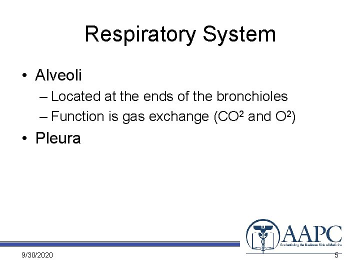 Respiratory System • Alveoli – Located at the ends of the bronchioles – Function