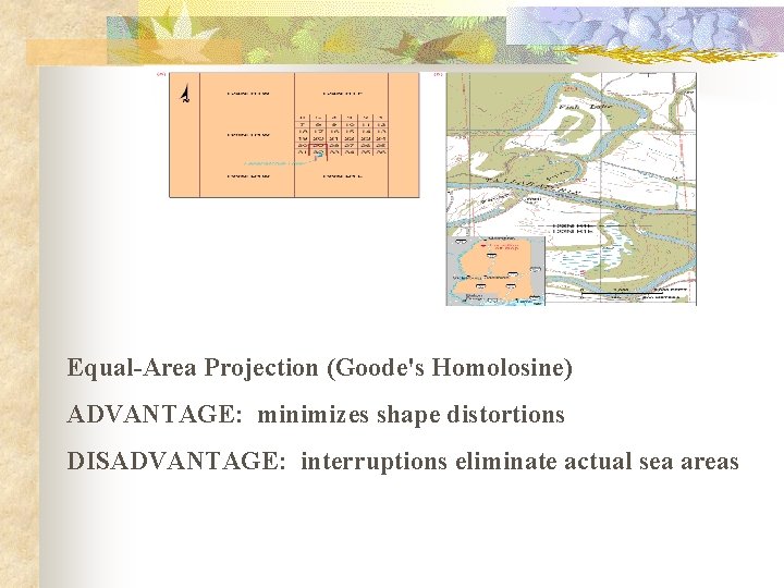 Equal-Area Projection (Goode's Homolosine) ADVANTAGE: minimizes shape distortions DISADVANTAGE: interruptions eliminate actual sea areas