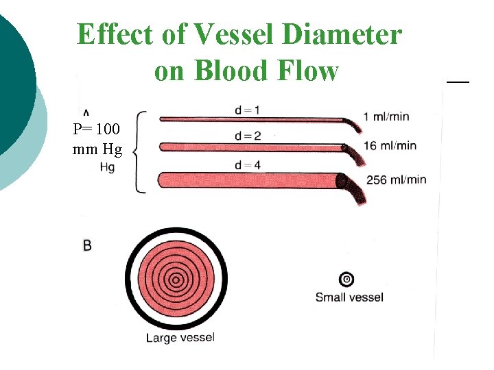 Effect of Vessel Diameter on Blood Flow P= 100 mm Hg 