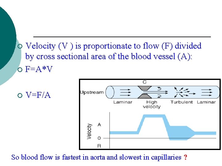 Velocity (V ) is proportionate to flow (F) divided by cross sectional area of