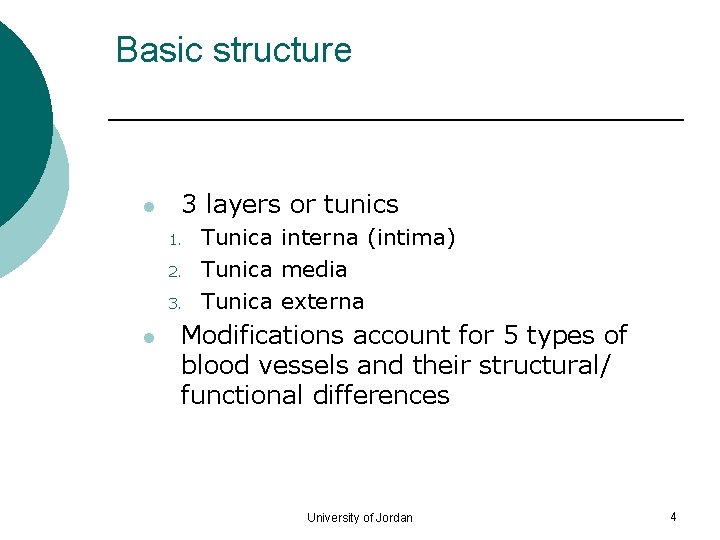 Basic structure l 3 layers or tunics 1. 2. 3. l Tunica interna (intima)