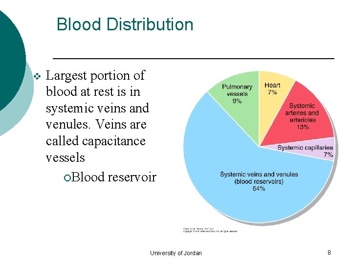 Blood Distribution v Largest portion of blood at rest is in systemic veins and