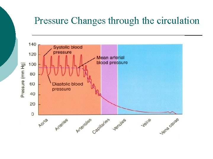 Pressure Changes through the circulation 