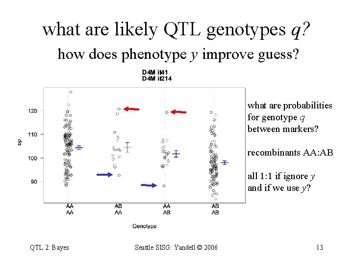 what are likely QTL genotypes q? how does phenotype y improve guess? what are