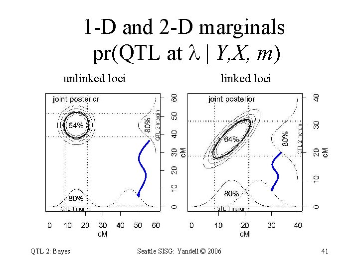 1 -D and 2 -D marginals pr(QTL at | Y, X, m) unlinked loci