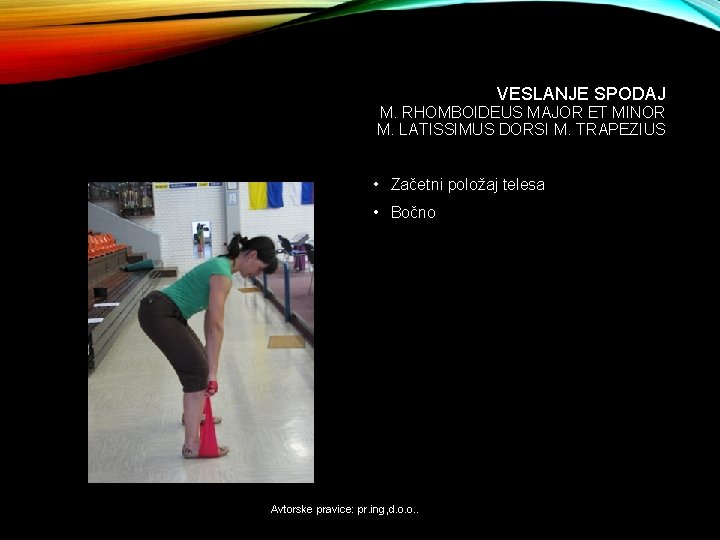 VESLANJE SPODAJ M. RHOMBOIDEUS MAJOR ET MINOR M. LATISSIMUS DORSI M. TRAPEZIUS • Začetni