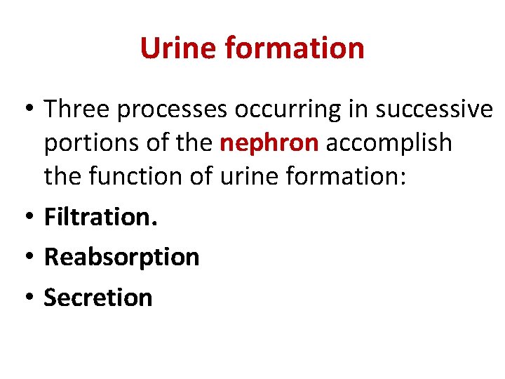Urine formation • Three processes occurring in successive portions of the nephron accomplish the