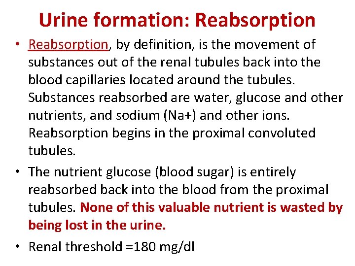 Urine formation: Reabsorption • Reabsorption, by definition, is the movement of substances out of