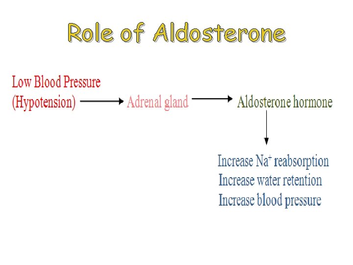 Role of Aldosterone 