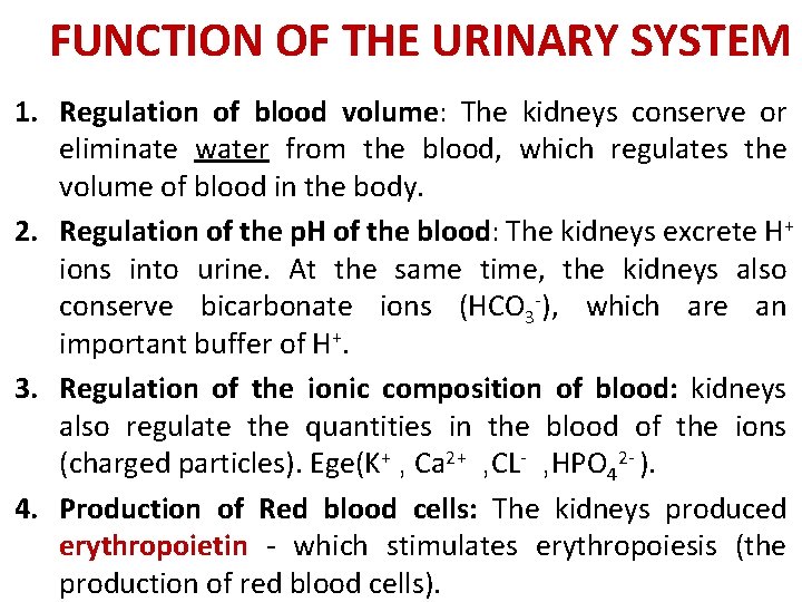 FUNCTION OF THE URINARY SYSTEM 1. Regulation of blood volume: The kidneys conserve or