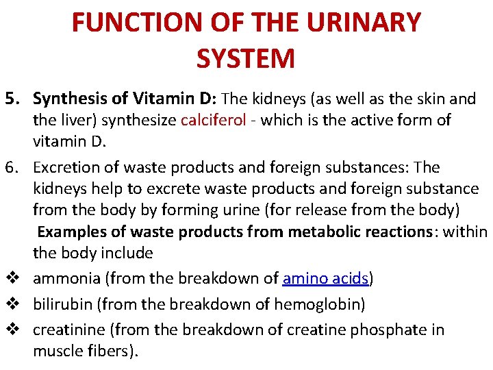 FUNCTION OF THE URINARY SYSTEM 5. Synthesis of Vitamin D: The kidneys (as well