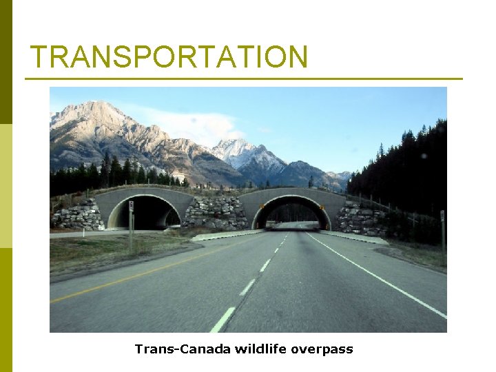 TRANSPORTATION Trans-Canada wildlife overpass 