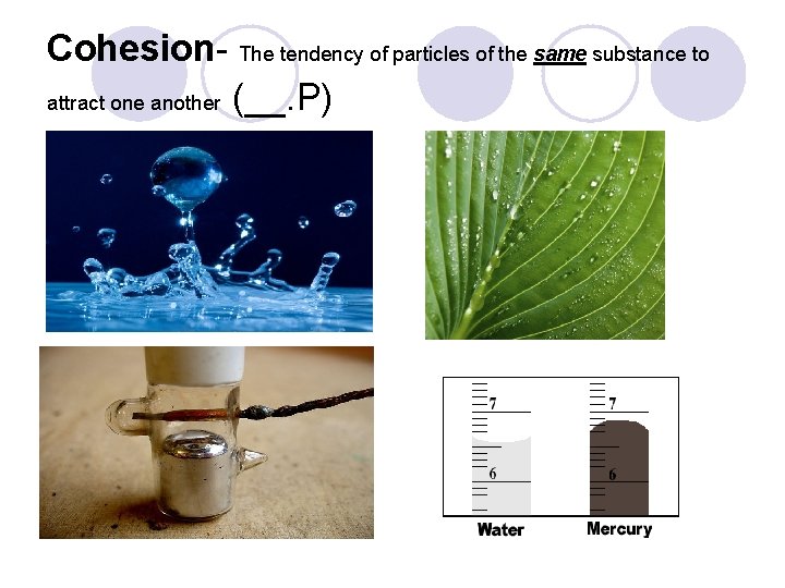 Cohesion- The tendency of particles of the same substance to attract one another (__. Cohesion- The tendency of particles of the same substance to attract one another (__.
