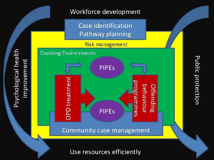Workforce development OPD treatment PIPEs Community case management Use resources efficiently Public protection Risk Workforce development OPD treatment PIPEs Community case management Use resources efficiently Public protection Risk
