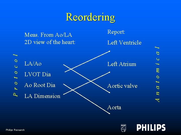 Meas. From Ao/LA 2 D view of the heart: Report: LA/Ao Left Atrium Left