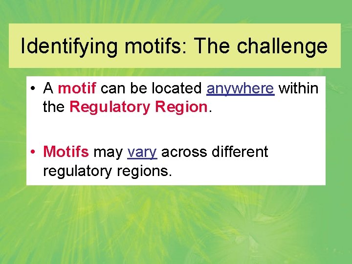 Identifying motifs: The challenge • A motif can be located anywhere within the Regulatory