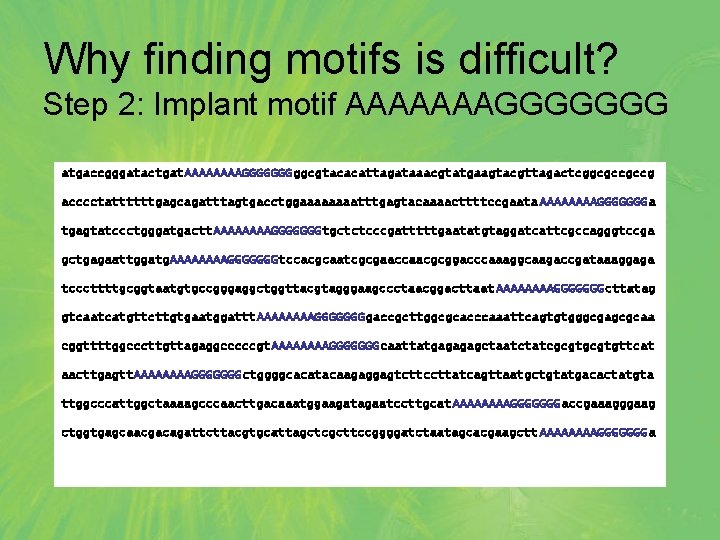 Why finding motifs is difficult? Step 2: Implant motif AAAAAAAGGGGGGG atgaccgggatactgat. AAAAGGGGGGGggcgtacacattagataaacgtatgaagtacgttagactcggcgccgccg acccctattttttgagcagatttagtgacctggaaaatttgagtacaaaacttttccgaata AAAAGGGGGGGa