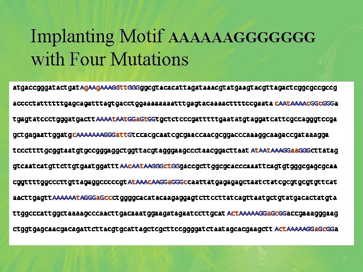 Implanting Motif AAAAAAGGGGGGG with Four Mutations atgaccgggatactgat. Ag. AAAGGtt. GGGggcgtacacattagataaacgtatgaagtacgttagactcggcgccgccg acccctattttttgagcagatttagtgacctggaaaatttgagtacaaaacttttccgaata c. AAt. AAAAc.