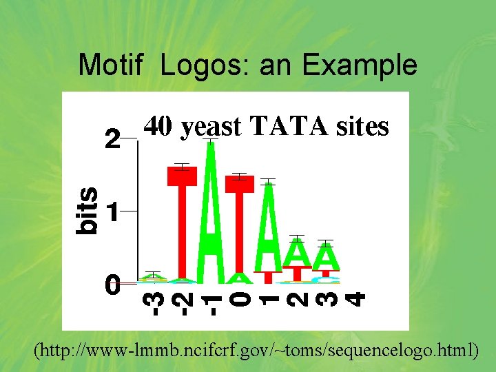 Motif Logos: an Example (http: //www-lmmb. ncifcrf. gov/~toms/sequencelogo. html) 