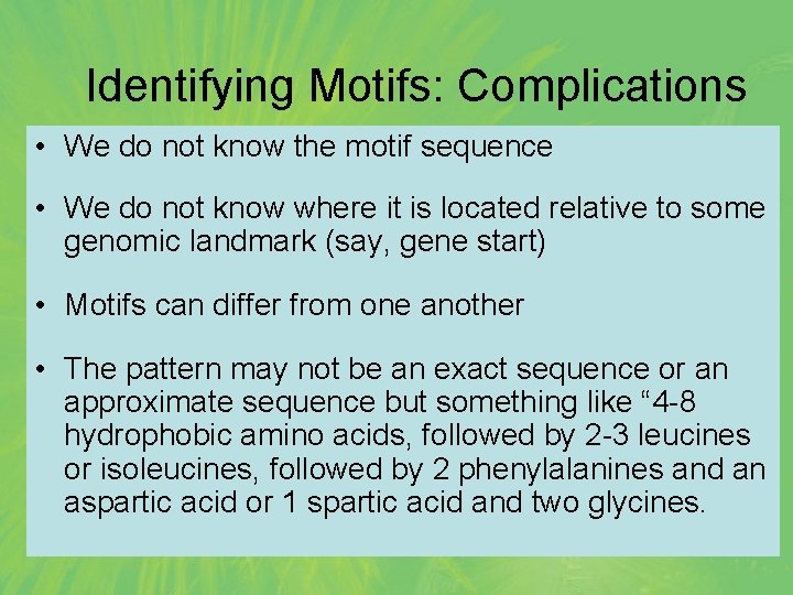 Identifying Motifs: Complications • We do not know the motif sequence • We do