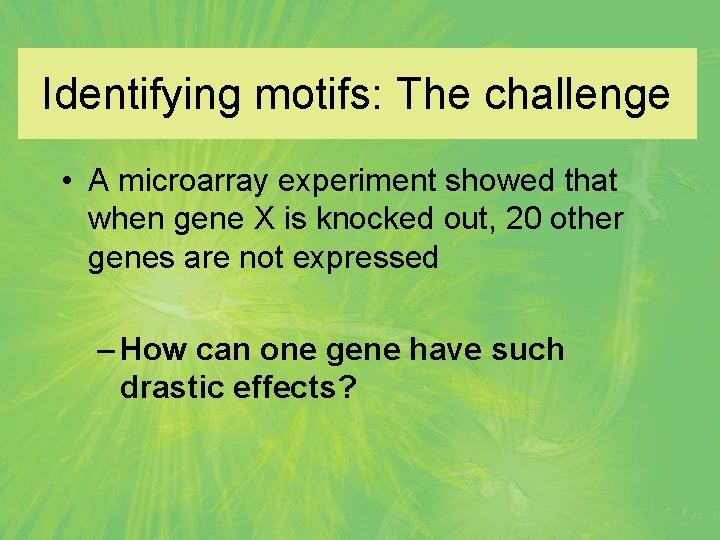 Identifying motifs: The challenge • A microarray experiment showed that when gene X is