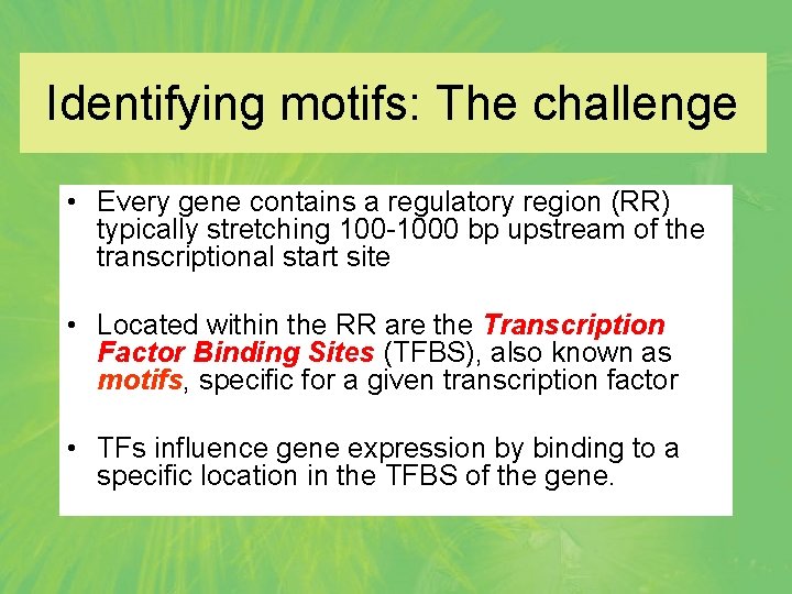 Identifying motifs: The challenge • Every gene contains a regulatory region (RR) typically stretching