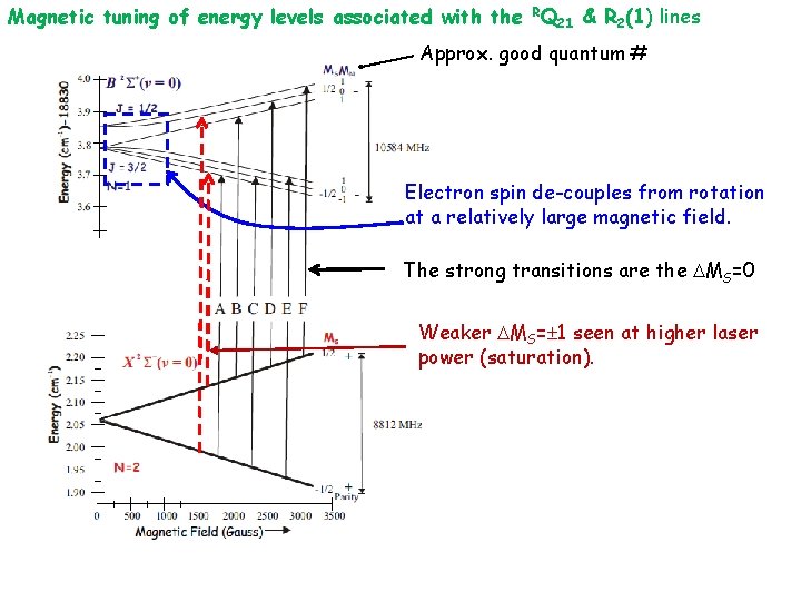 Magnetic tuning of energy levels associated with the RQ 21 & R 2(1) lines