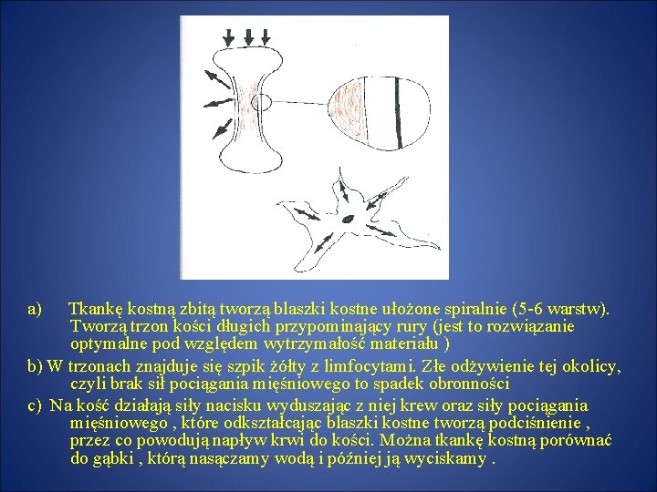 a) Tkankę kostną zbitą tworzą blaszki kostne ułożone spiralnie (5 -6 warstw). Tworzą trzon