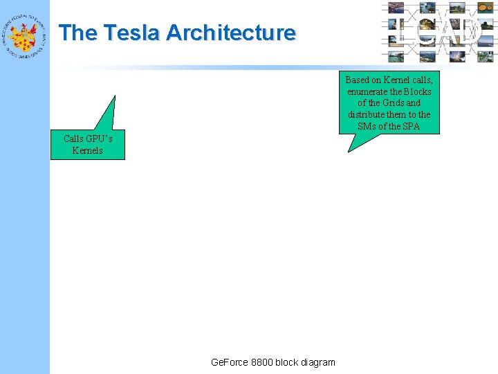 The Tesla Architecture LCAD Based on Kernel calls, enumerate the Blocks of the Grids