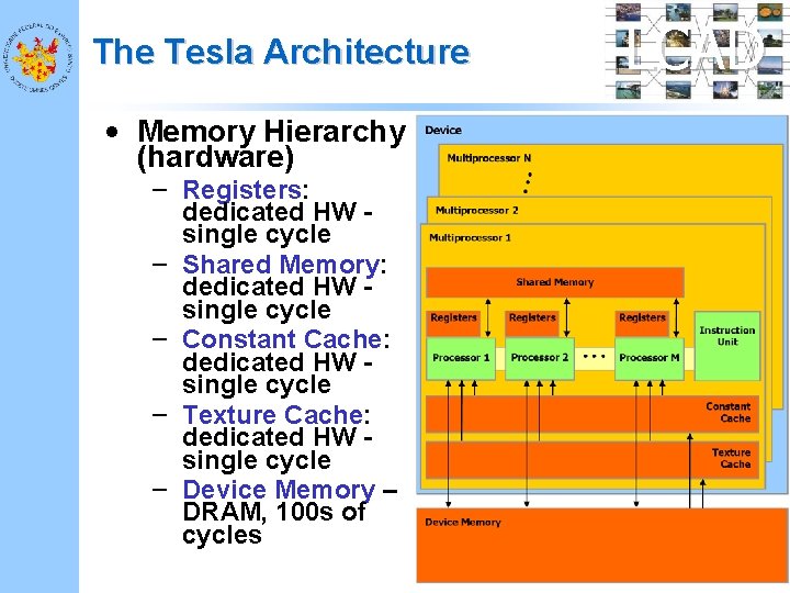 The Tesla Architecture • Memory Hierarchy (hardware) – Registers: dedicated HW single cycle –