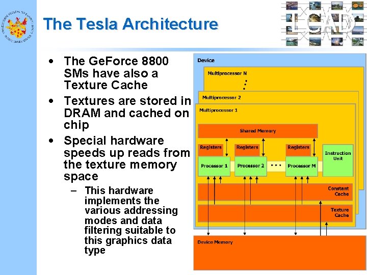 The Tesla Architecture • The Ge. Force 8800 SMs have also a Texture Cache