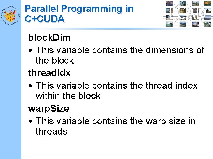 Parallel Programming in C+CUDA LCAD block. Dim • This variable contains the dimensions of