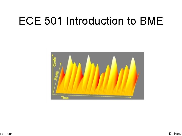 ECE 501 Introduction to BME ECE 501 Dr. Hang 