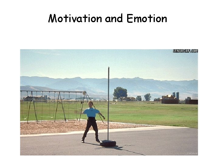 Motivation and Emotion 