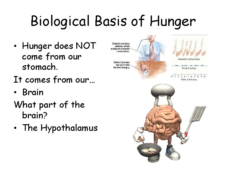 Biological Basis of Hunger • Hunger does NOT come from our stomach. It comes