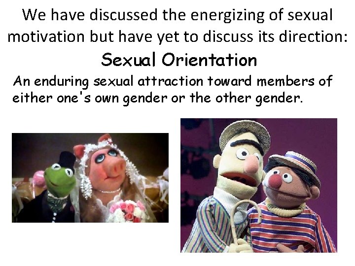 We have discussed the energizing of sexual motivation but have yet to discuss its