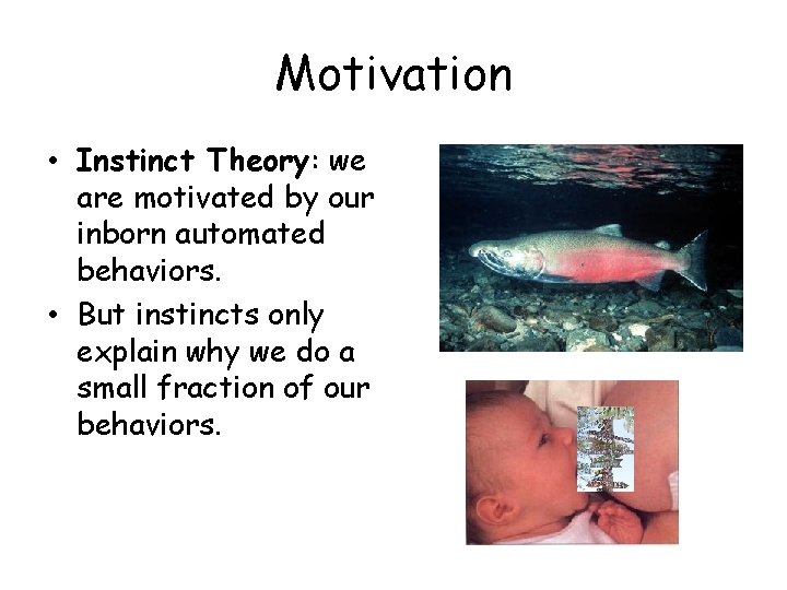 Motivation • Instinct Theory: we are motivated by our inborn automated behaviors. • But