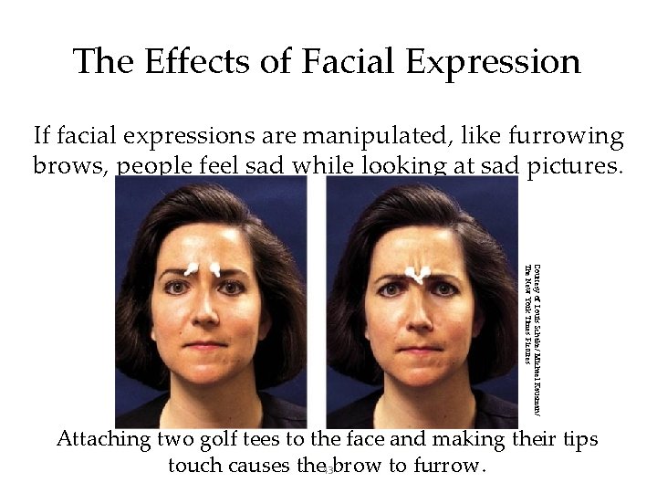 The Effects of Facial Expression If facial expressions are manipulated, like furrowing brows, people