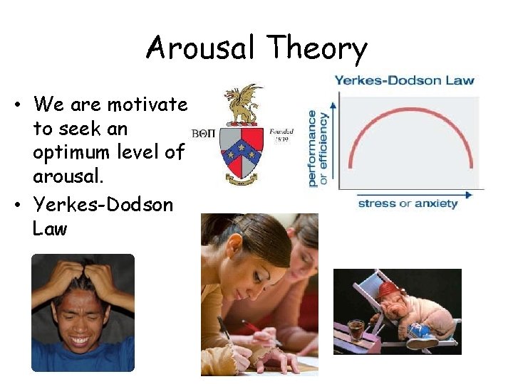 Arousal Theory • We are motivated to seek an optimum level of arousal. •