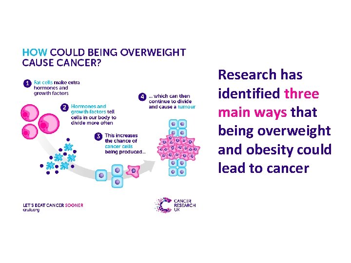 Research has identified three main ways that being overweight and obesity could lead to